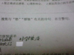 關(guān)于煩惱的詩(shī)句或詞
