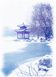 關(guān)于雪景畫(huà)的詩(shī)句