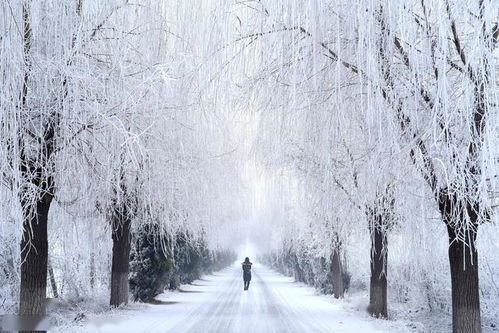 古詩(shī),詩(shī)句,風(fēng)雪,描寫(xiě)