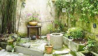 詩(shī)句,庭院,打掃