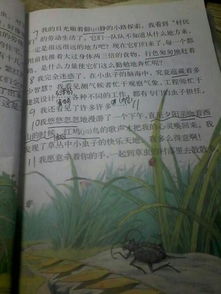 關(guān)于擬人句的詩(shī)句有哪些
