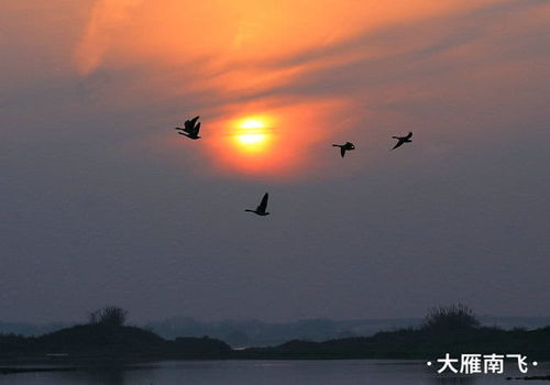 關(guān)于大名八景的詩(shī)句