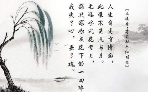 松濤,詩(shī)句,形容