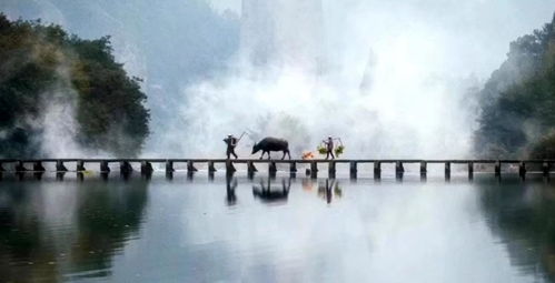 關(guān)于養老方面的詩(shī)句