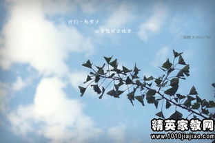 理想信念的詩(shī)句古詩(shī)