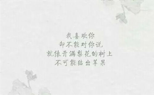 傷感詩(shī)句痛到心里古詩(shī)