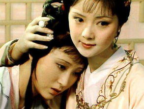 紅樓夢(mèng)里關(guān)于螃蟹的詩(shī)句