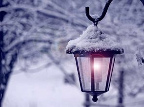 雪天,詩(shī)句,孤獨