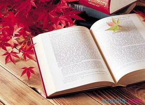 讀書(shū)之旅含三句古詩(shī)句