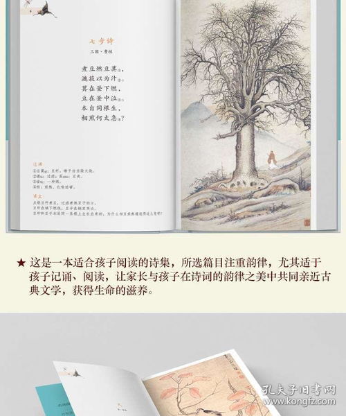 古詩(shī)詞彩色詩(shī)句