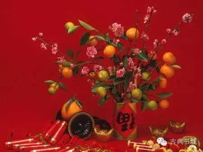 關(guān)于陪您過(guò)春節的詩(shī)句