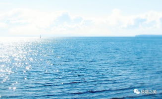 關(guān)于魚(yú)和海的詩(shī)句古詩(shī)