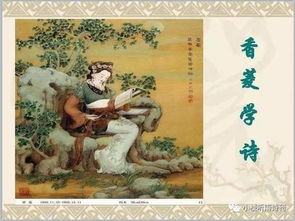 紅樓夢(mèng)關(guān)于讀書的詩句