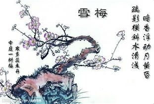 關(guān)于梅花的詩(shī)句古詩(shī)詞名言警句