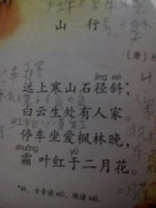 古詩(shī)山行的詩(shī)句和意思是什么意思