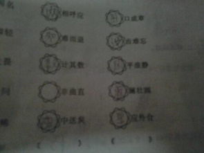 首字是馬的古詩(shī)句