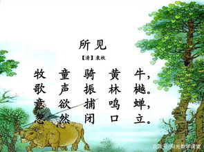 描寫(xiě)山的詩(shī)句古詩(shī)三年級,有關(guān)寫(xiě)山的詩(shī)句古詩(shī),杜鵑的詩(shī)句古詩(shī)三年級