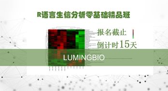 形容腳的重要性的詩(shī)句,強調思想重要性的詩(shī)句,強調農業(yè)重要性的詩(shī)句
