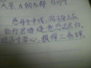 古詩(shī)文中贊美水的詩(shī)句