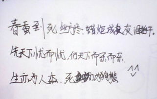 初中古詩(shī)句摘抄大全百度