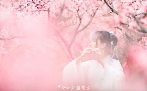 關(guān)于勇敢去愛(ài)的詩(shī)句