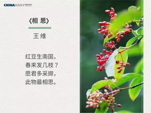 五句關(guān)于春天的詩(shī)句大全,贊美春天的詩(shī)句大全,描寫(xiě)春天的詩(shī)句大全