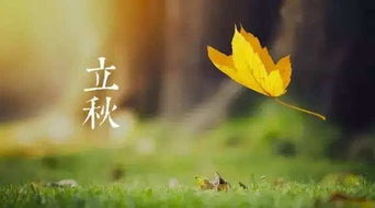 贊美立秋的古詩(shī)句