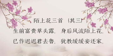 優(yōu)美的鮮為人知的古詩(shī)句,鮮為人知的古詩(shī),鮮為人知的古詩(shī)名句
