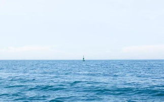 關(guān)于大海日出的詩(shī)句現代詩(shī)