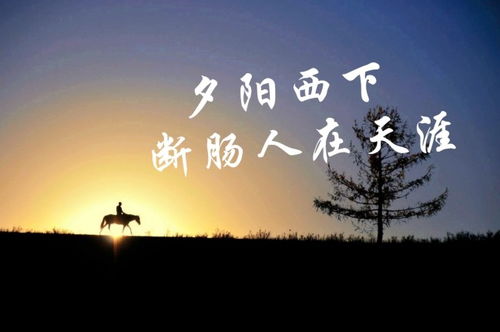 詩(shī)句,描寫(xiě),孤獨,旅行