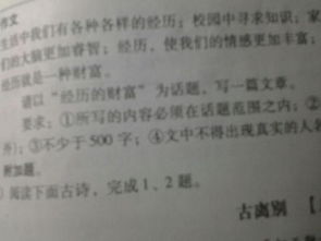 關(guān)于經(jīng)歷是財富的詩(shī)句
