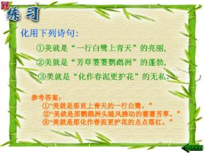 詩(shī)句,議論
