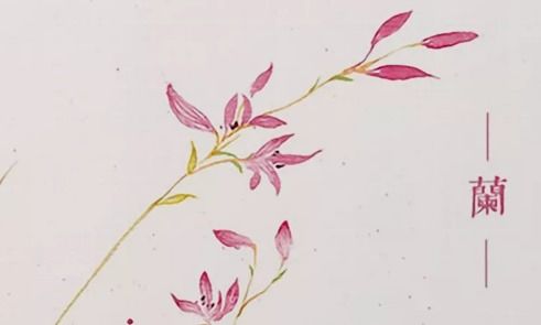 春蘭古詩(shī)句