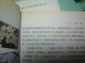 古詩(shī)有春字的詩(shī)句20句