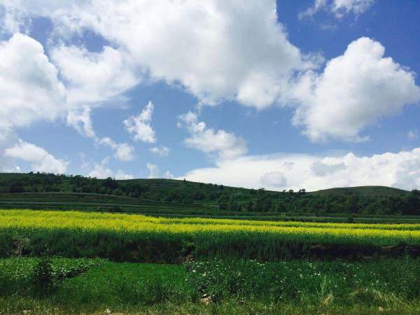 草原風(fēng)景贊美詩(shī)句古詩(shī)