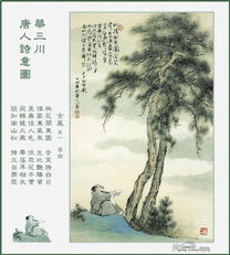 寫(xiě)芙蓉的詩(shī)句古詩(shī)大全