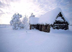 贊美春雪景的詩(shī)句古詩(shī)詞