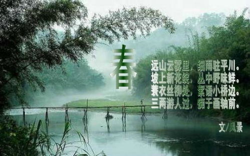 關(guān)于春風(fēng)景的詩(shī)句古詩(shī)詞