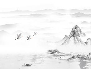 關(guān)于春雨豐收的詩(shī)句古詩(shī)詞