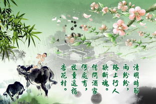 詩(shī)句,積累