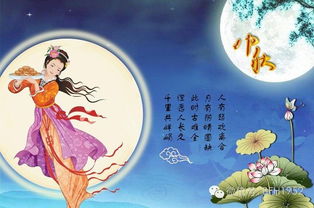 關(guān)于中秋詩(shī)句古詩(shī)