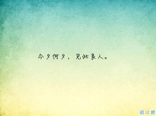 比較優(yōu)雅有意境的古詩(shī)句