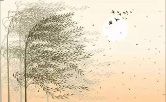 一級關(guān)于風(fēng)的詩(shī)句和
