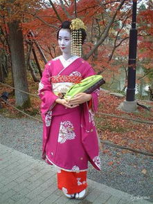 關(guān)于楓葉美人的詩(shī)句