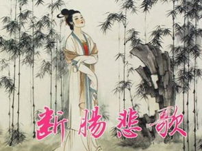 朱淑真寫(xiě)的關(guān)于春節的詩(shī)句