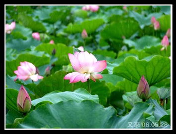 春在細雨關(guān)于詩(shī)句