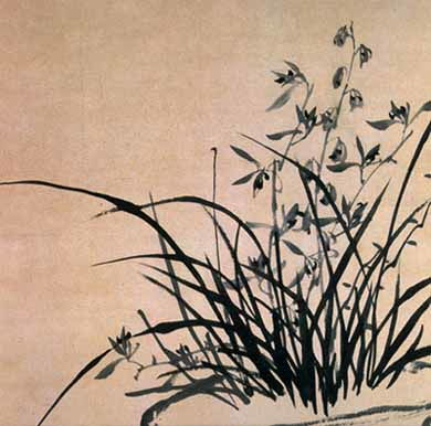 蘭草,詩(shī)句