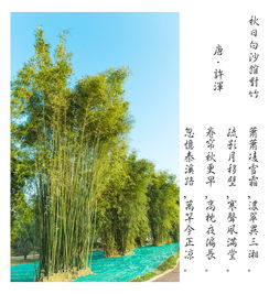 關(guān)于離開(kāi)故鄉去新地方的詩(shī)句