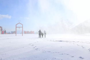 詩(shī)句,文藝,于雪
