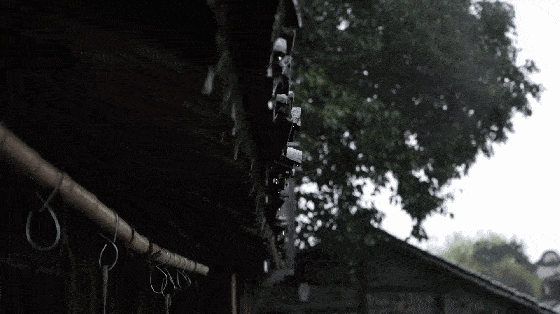 古詩(shī)描寫(xiě)雨的古詩(shī)句,描寫(xiě)雨的古詩(shī)句,含有雨的古詩(shī)句